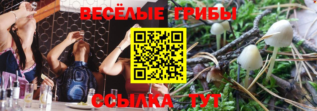 Галлюциногенные грибы Magic Shrooms Истра